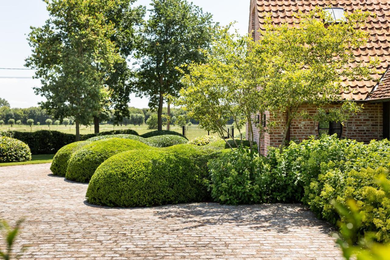 Hoeve Den Akker - Luxueuze Vakantiewoningen Met Privetuinen En Alpaca'S Nabij Brugge, Damme, Knokke, Sluis En Cadzand 외부 사진