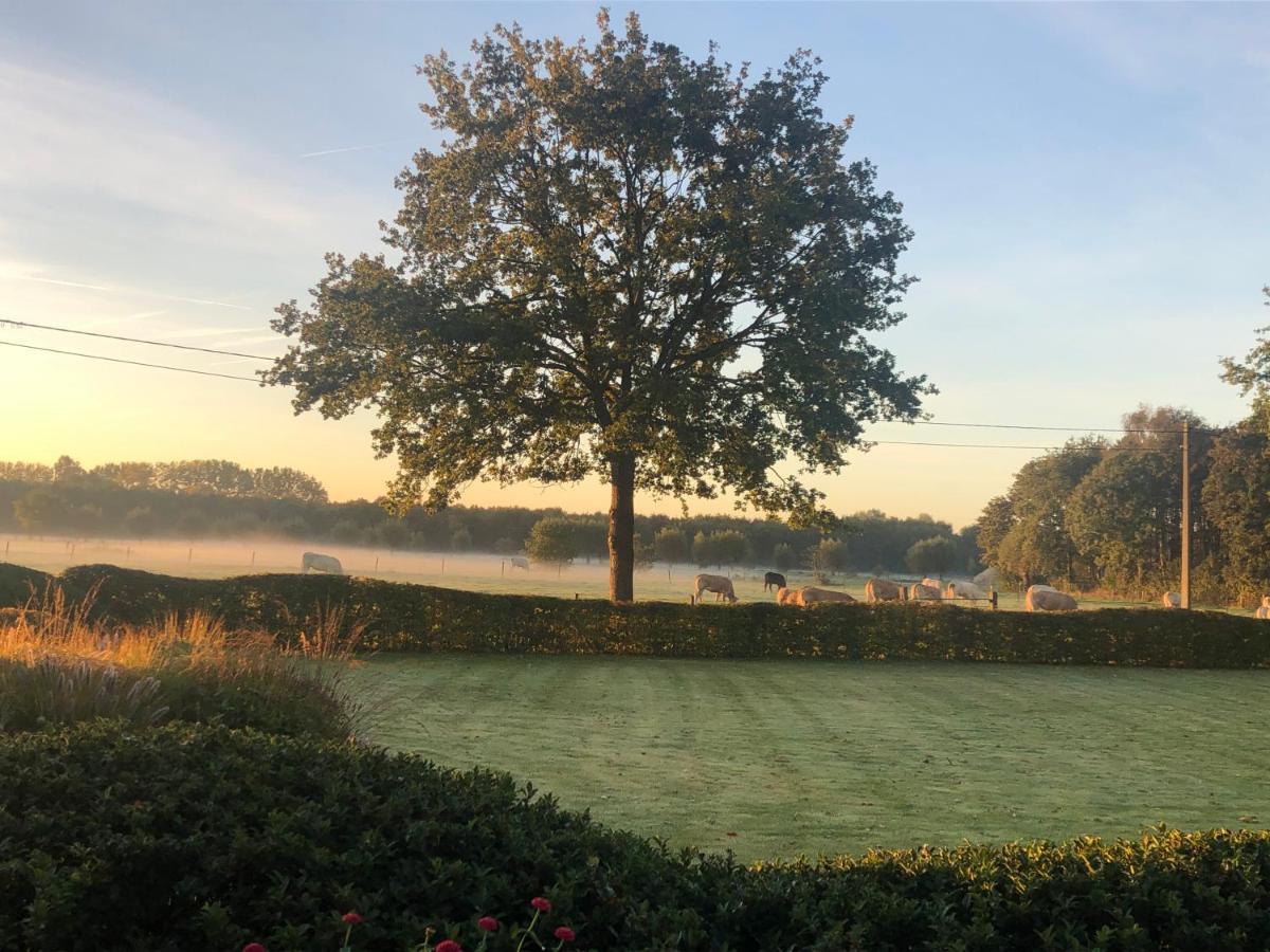 Hoeve Den Akker - Luxueuze Vakantiewoningen Met Privetuinen En Alpaca'S Nabij Brugge, Damme, Knokke, Sluis En Cadzand 외부 사진