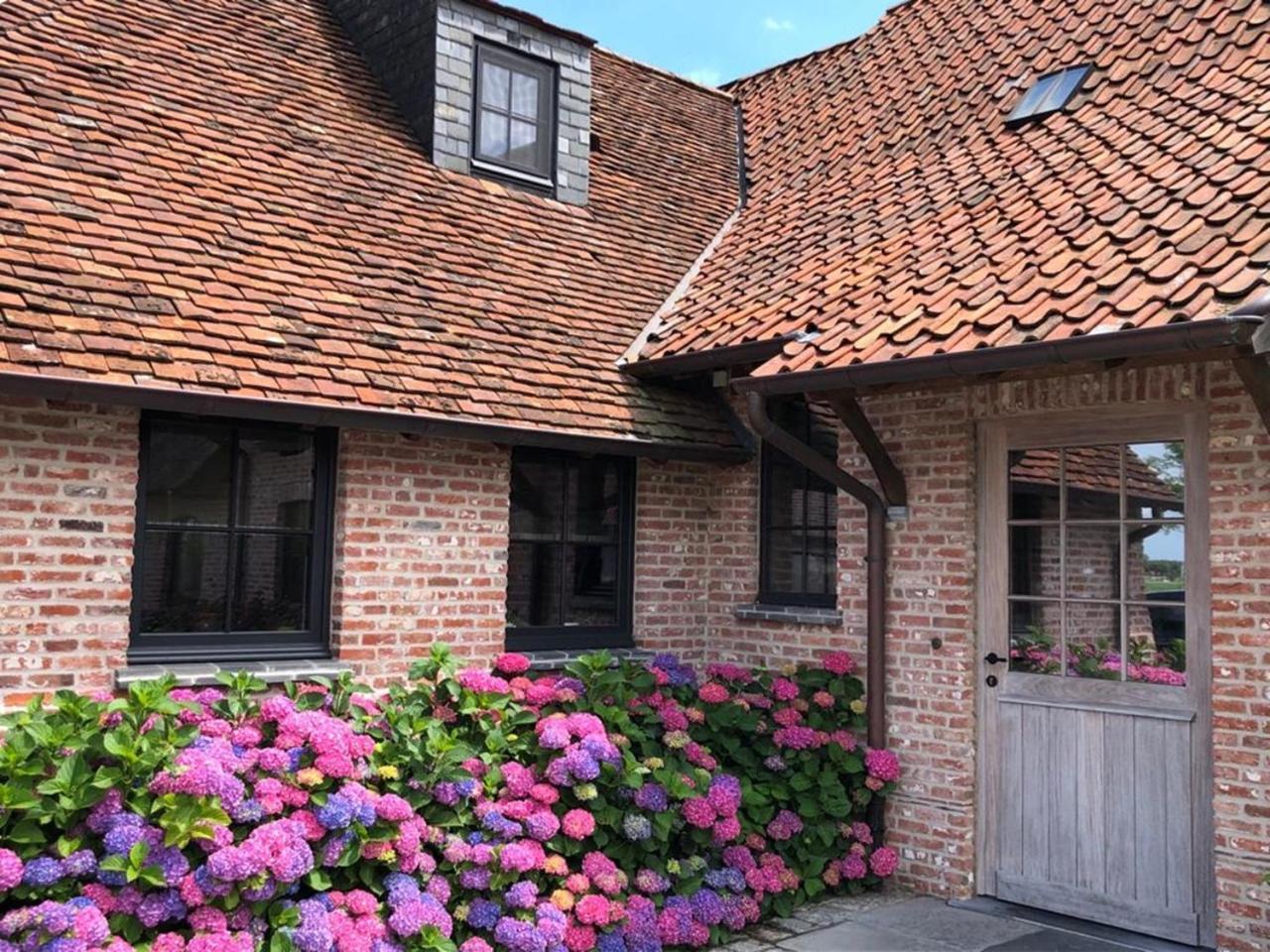 Hoeve Den Akker - Luxueuze Vakantiewoningen Met Privetuinen En Alpaca'S Nabij Brugge, Damme, Knokke, Sluis En Cadzand 외부 사진