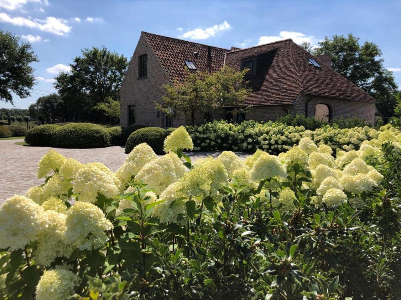 Hoeve Den Akker - Luxueuze Vakantiewoningen Met Privetuinen En Alpaca'S Nabij Brugge, Damme, Knokke, Sluis En Cadzand 외부 사진