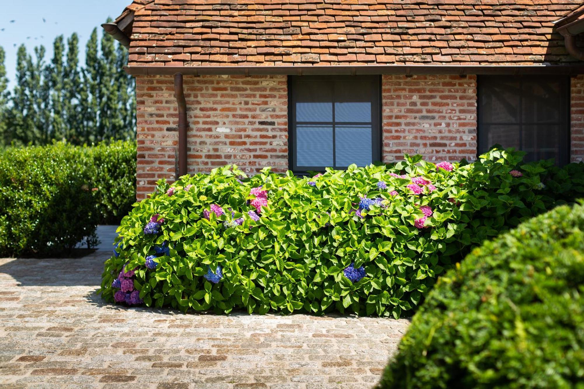 Hoeve Den Akker - Luxueuze Vakantiewoningen Met Privetuinen En Alpaca'S Nabij Brugge, Damme, Knokke, Sluis En Cadzand 외부 사진