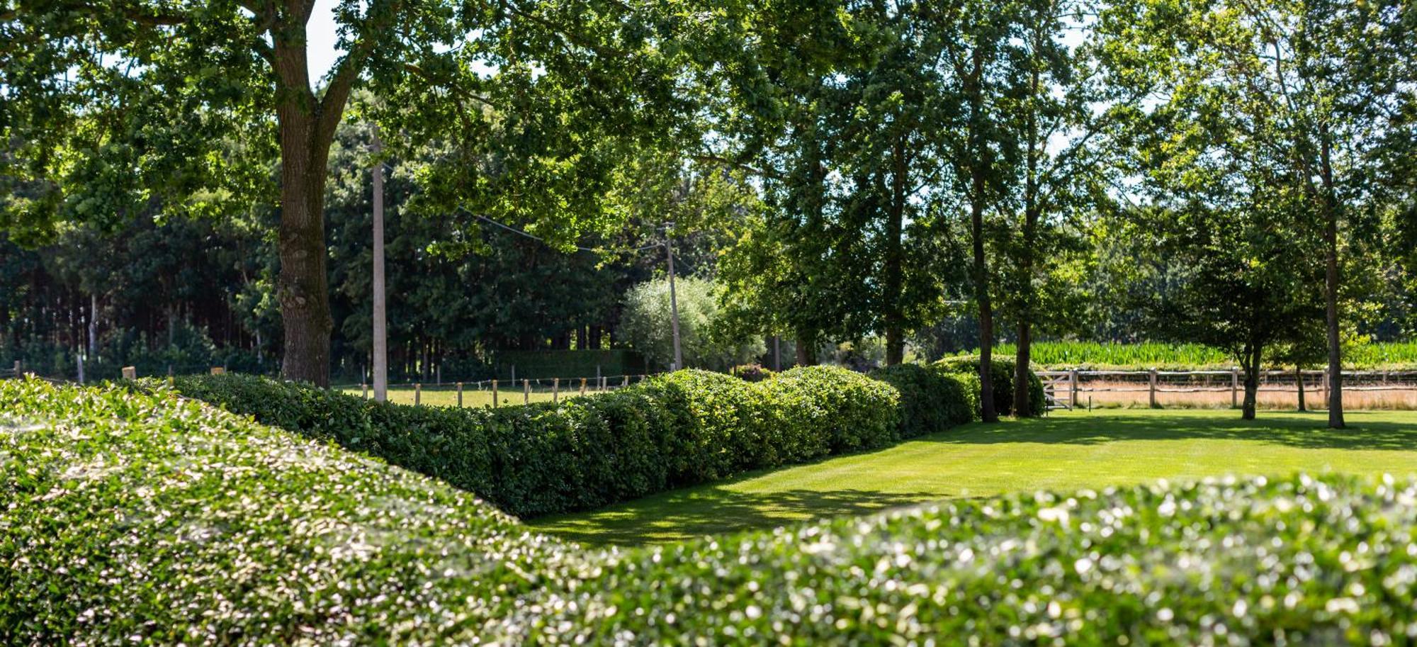 Hoeve Den Akker - Luxueuze Vakantiewoningen Met Privetuinen En Alpaca'S Nabij Brugge, Damme, Knokke, Sluis En Cadzand 외부 사진